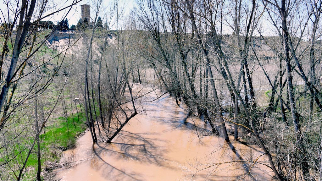 El río Eresma a su paso por Coca se encontraba ayer por la mañana en un nivel de alarma, con 87 metros cúbicos por segundo de caudal. / EFE
