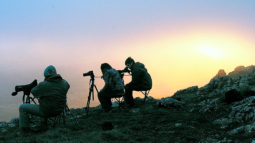 Buscando lobos al amanecer con telescopio, en la Serrezuela. / E.A.