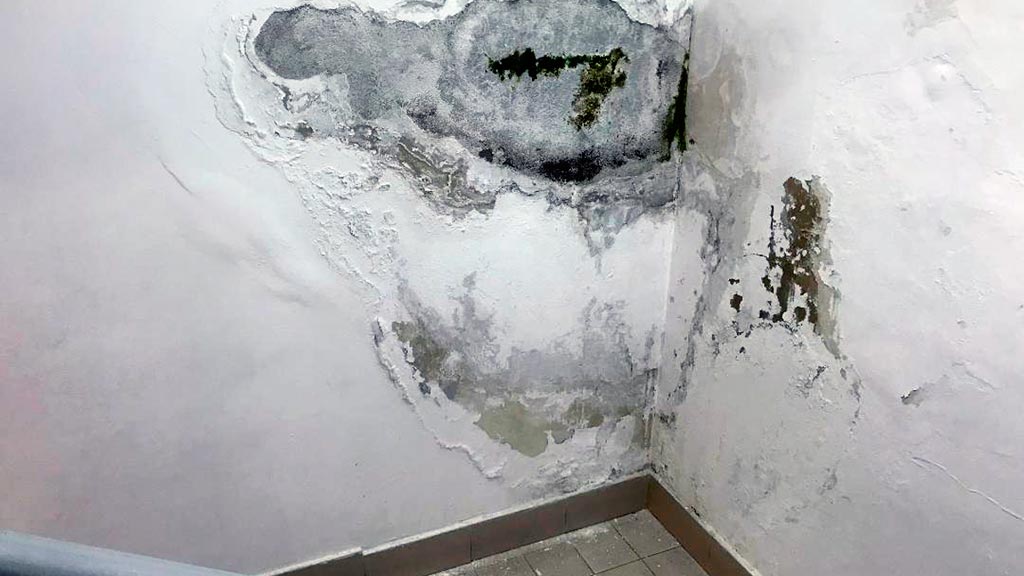 parking-jose-zorrilla-humedades