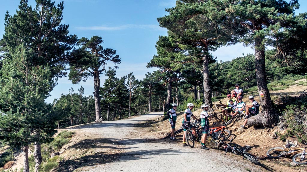 Ciclistas disfrutando de la bici en el Puerto de la Fuenfría. / kamarero