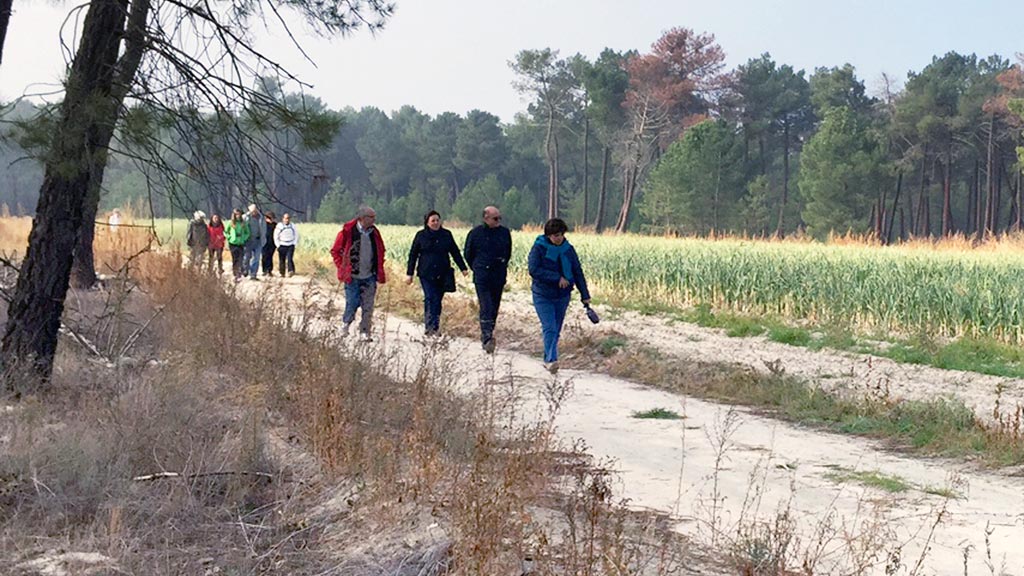 Senderistas participantes en una de las rutas realizadas el año pasado. / el adelantado