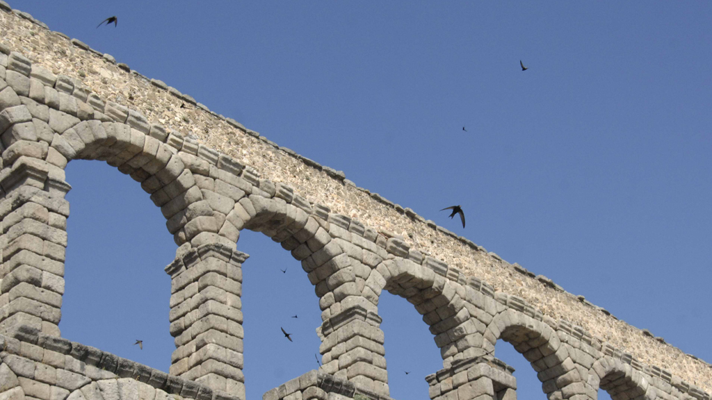 Vencejos volando junto al Acueducto. / Juan Martín
