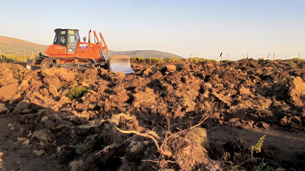 Imagen del terreno tras la roturación del monte. /EL ADELANTADO
