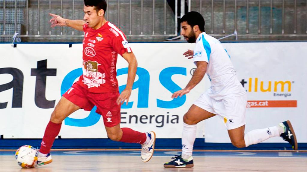 24-1fs-catgas-naturpellet