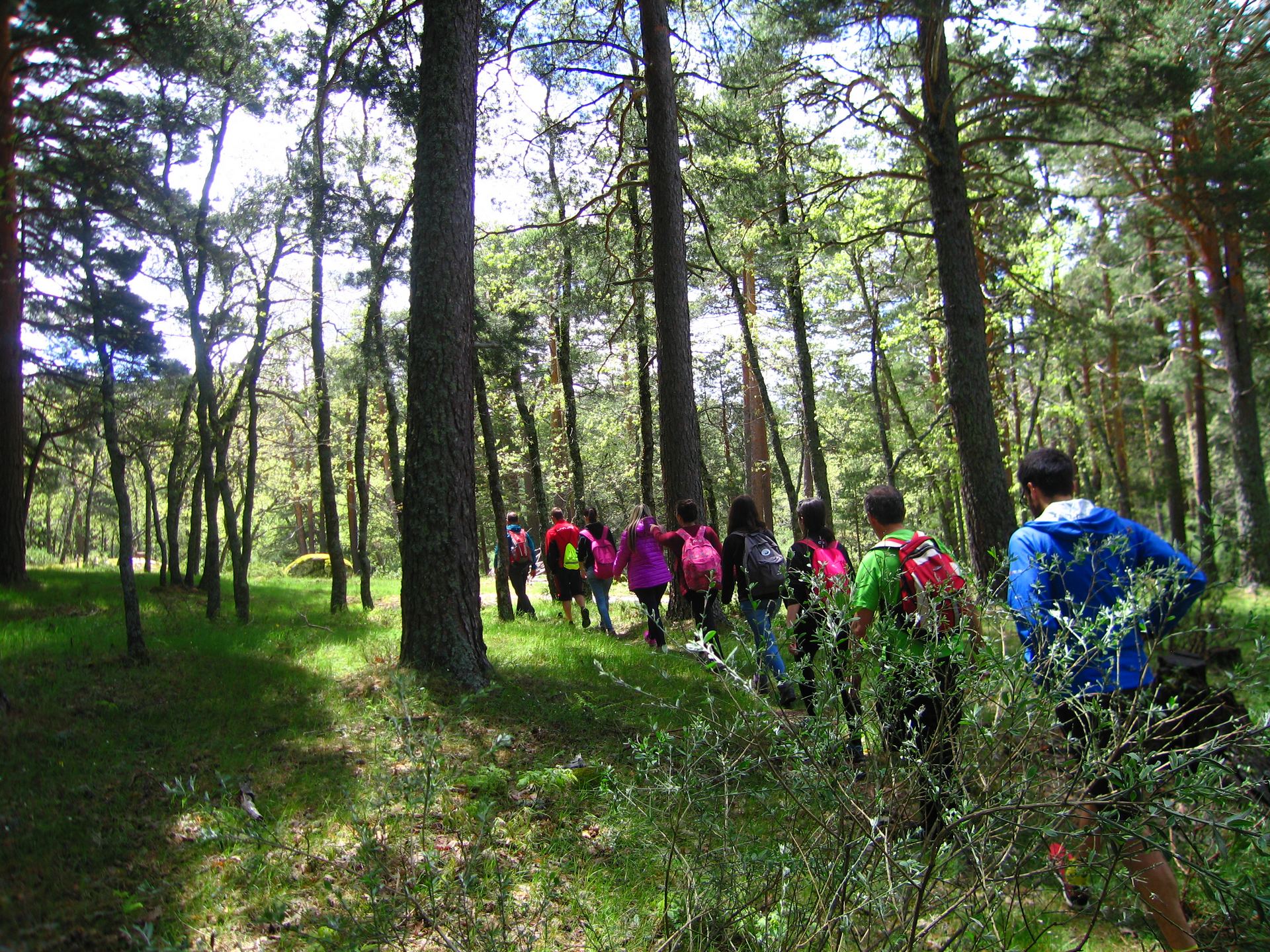 Algunas de las clases prácticas se desarrollarán en exteriores.