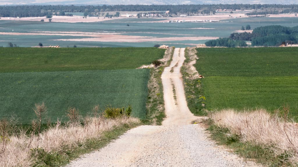 04-1kama_Paisajes-Agricultura_KAM1599