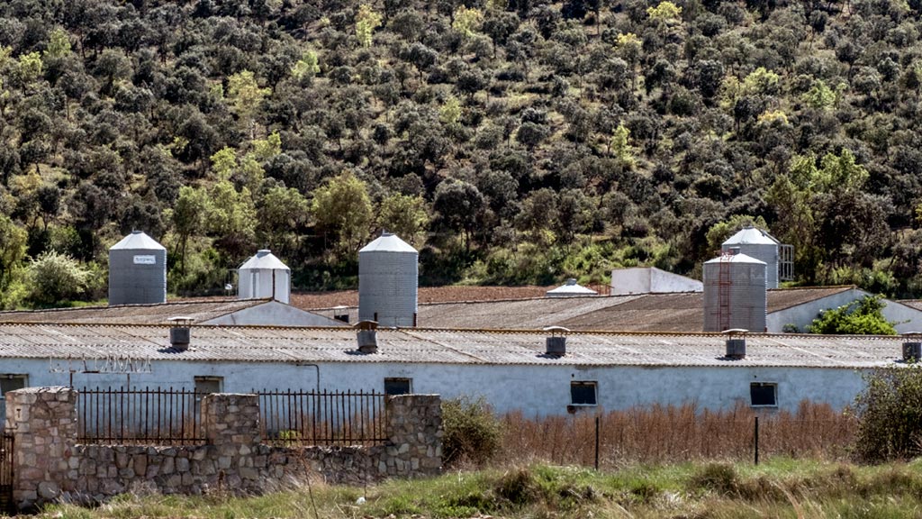 11-1kama_Naves-Ganaderas_KAM1617