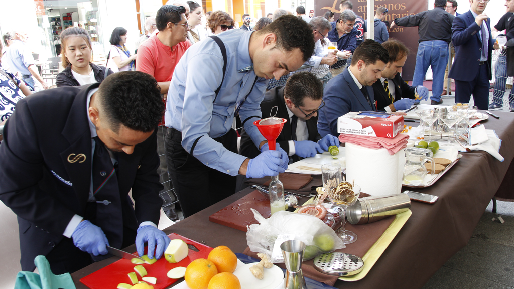 11_3nerea-concurso-cocteler