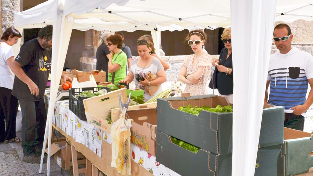 La Red de Semillas organiza un encuentro en El Espinar 1 Los productos ecológicos cada vez tienen más demanda, como los de este mercado de San Lorenzo (Segovia)./ e.A.