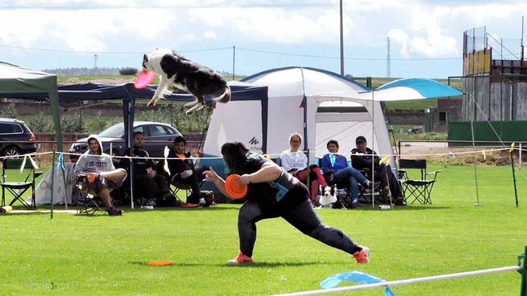 18-1-cabezuela-campeonato-perros-disc-dog