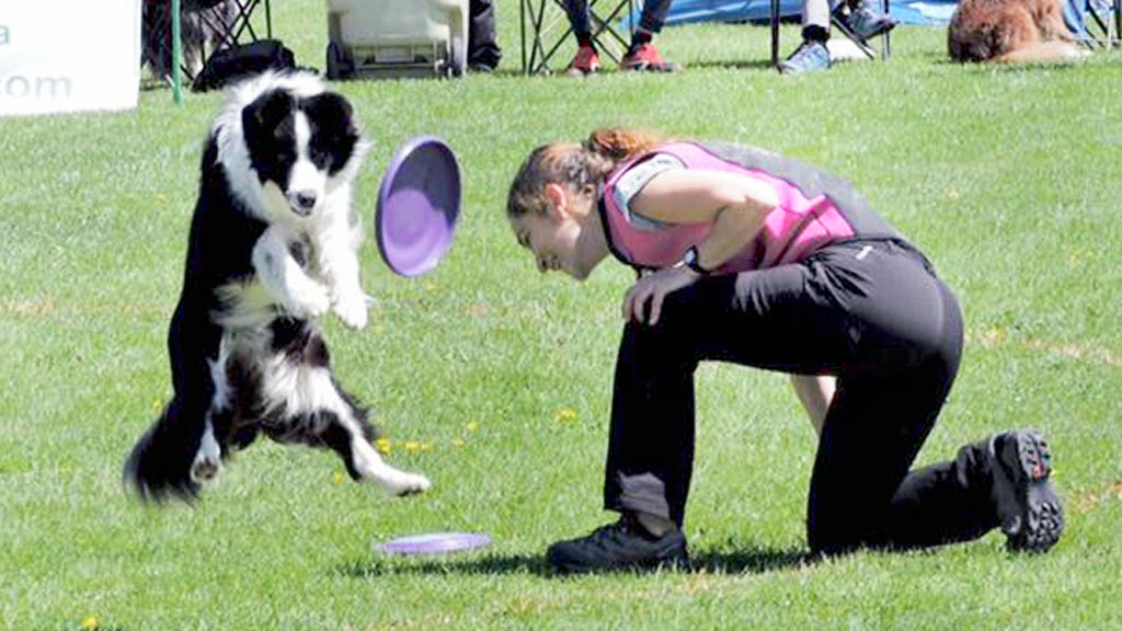 18-1-cabezuela-disc-dog