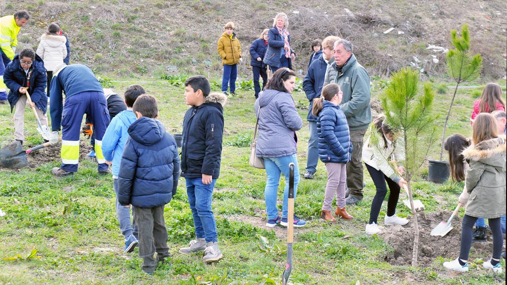 Dia-Arbol-Ayuntamiento-Barrio-Ciudad-Tierra_KAM8752