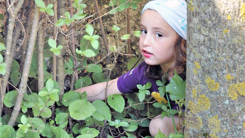 10-1-colegio-fray-juan-proyecto-libera-ecoembes