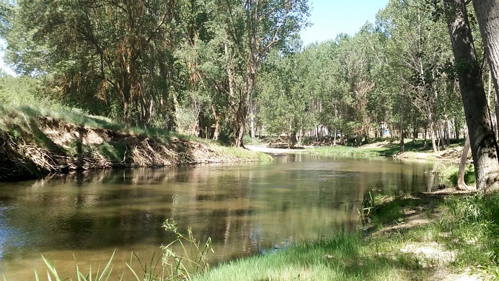 12-2-eresma-navas-de-oro