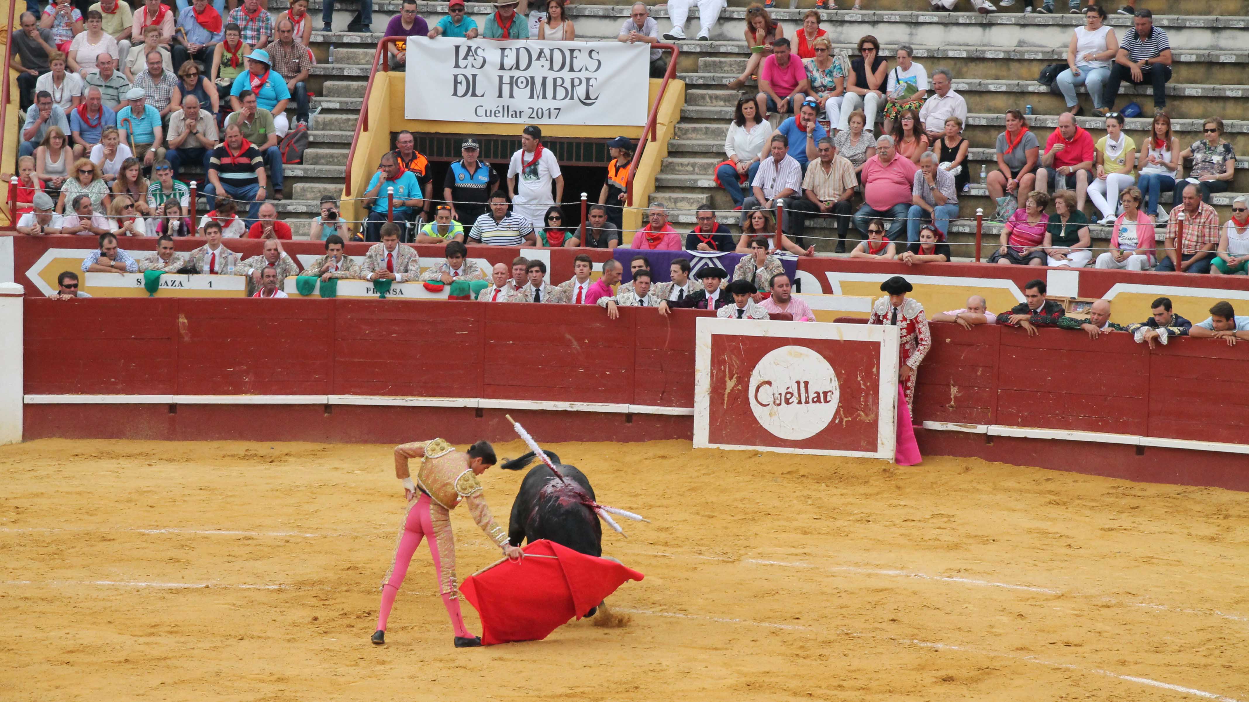 2.toros web