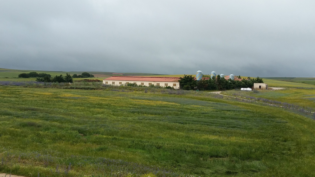 4_1-NAVAS-DE-RIOFRIO