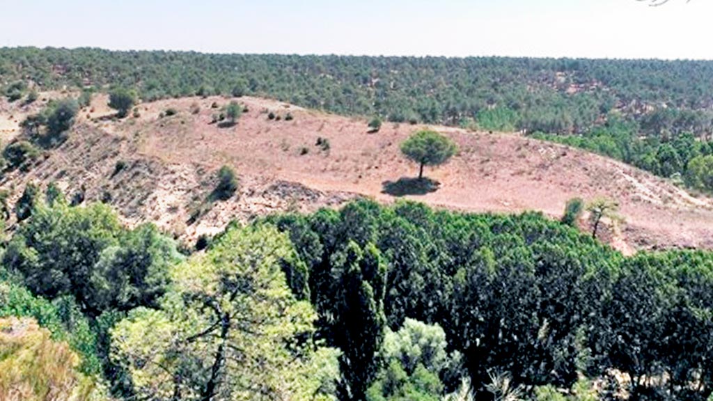 Vista panorámica del yacimiento de la Peña del Moro de Navas de Oro. / E.A.