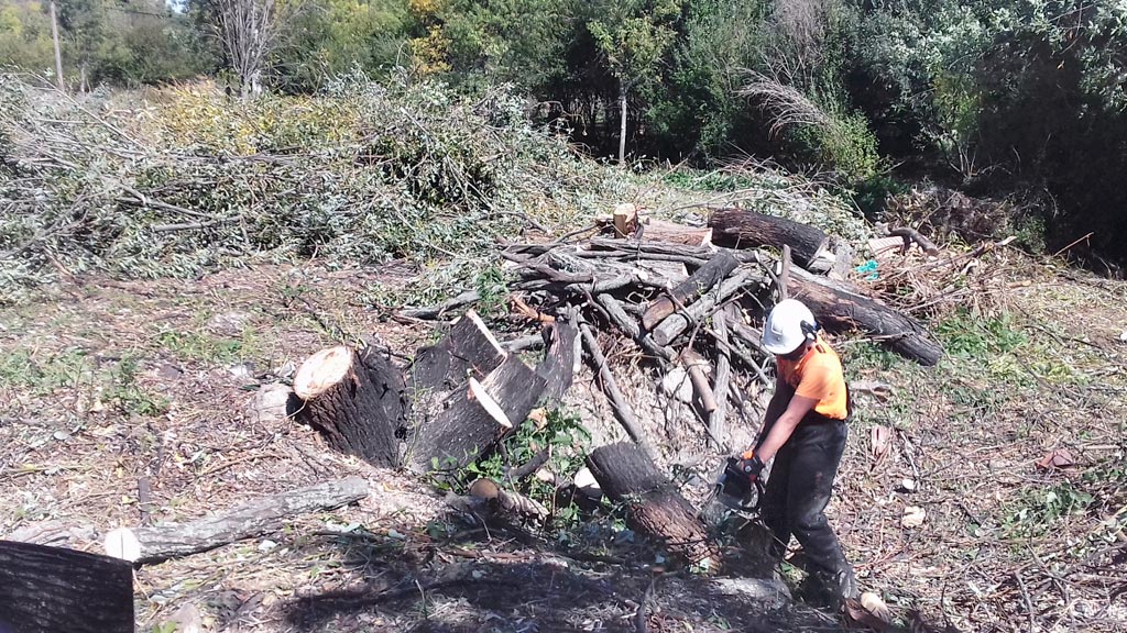 09-1-Diputación-cuadrillas-forestales