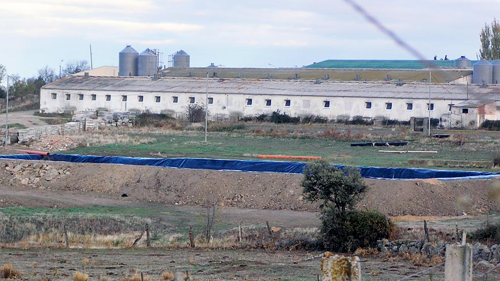 La balsa de purines desaparecerá del entorno del núcleo urbano de Losana. / el adelantado