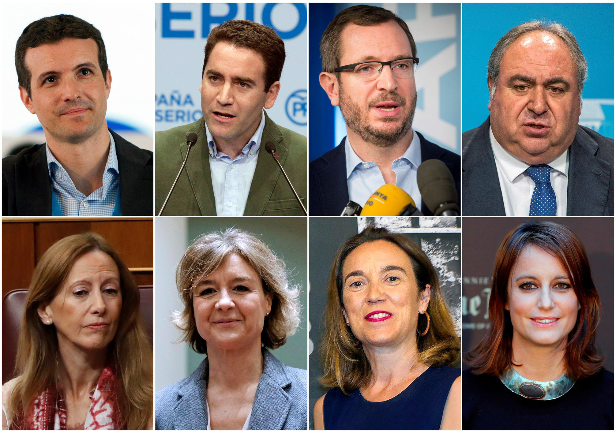 De izquierda a derecha y de arriba a abajo: Pablo Casado, Teodoro García Egea, Javier Maroto, Vicente Tirado, Marta González, Isabel García Tejerina, Cuca Gamarra y Andrea Levy, la nueva cúpula nacional del Partido Popular.