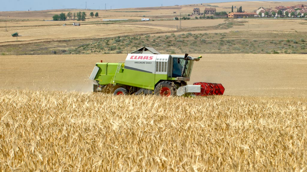 23-1kama_Cosecha-Trigo-Alcazar-Catedral_KAM0228