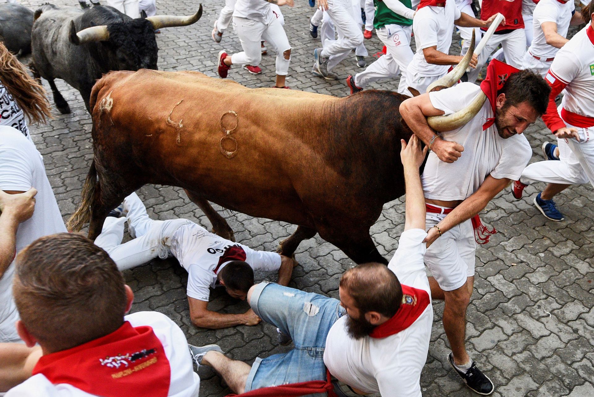 Uno de los seis toros del último encierro de San Fermín engancha el cuello que el mozo llevaba atado al cuello.