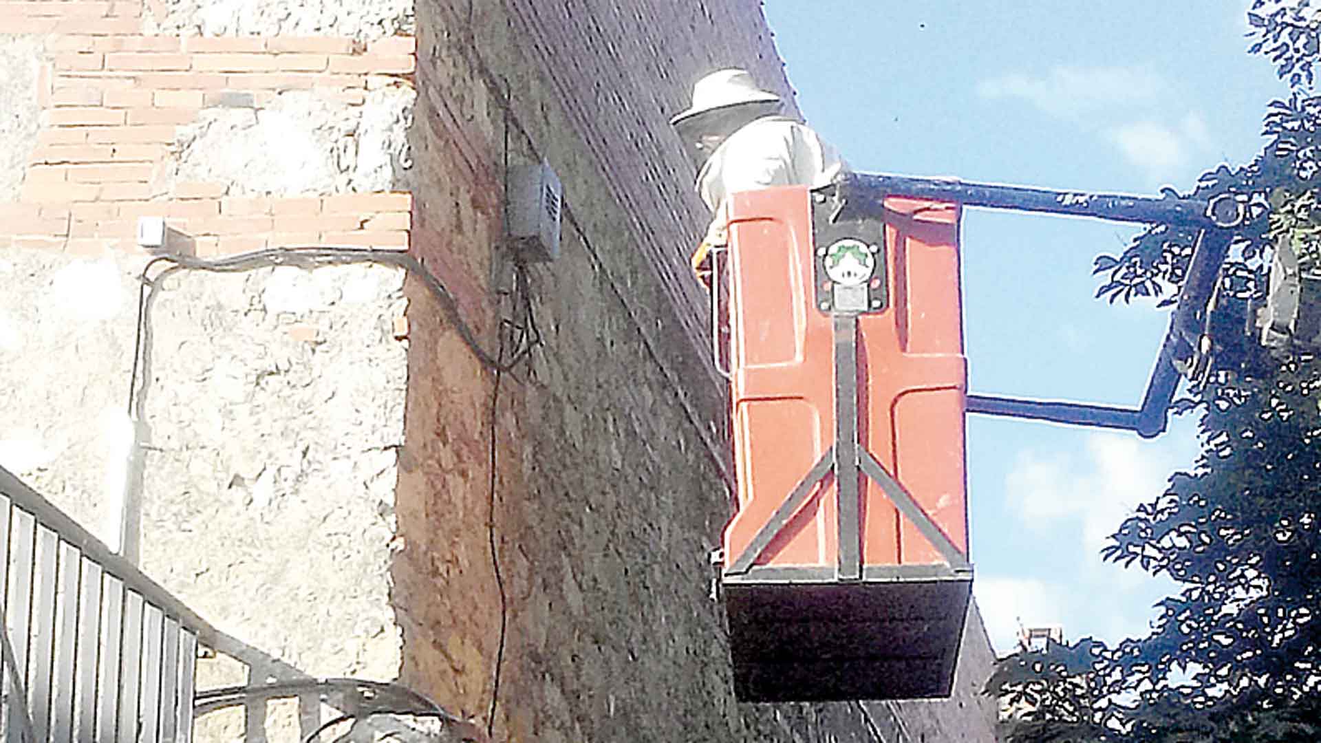 7_1-apicultor-abejas