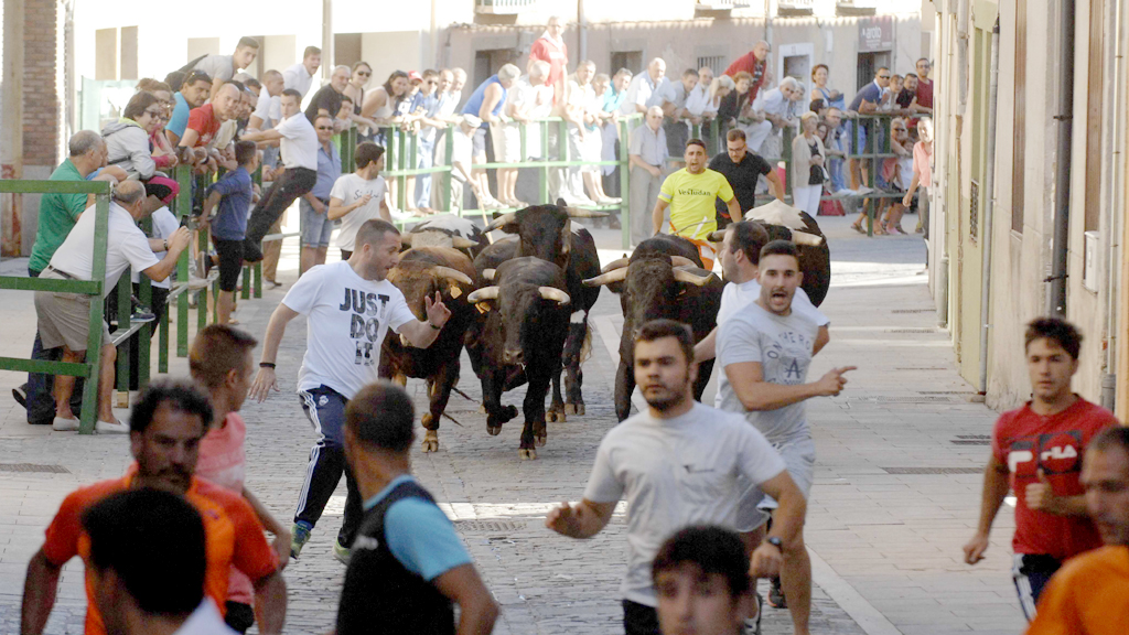 8_1chas-encierro-san-lorenz