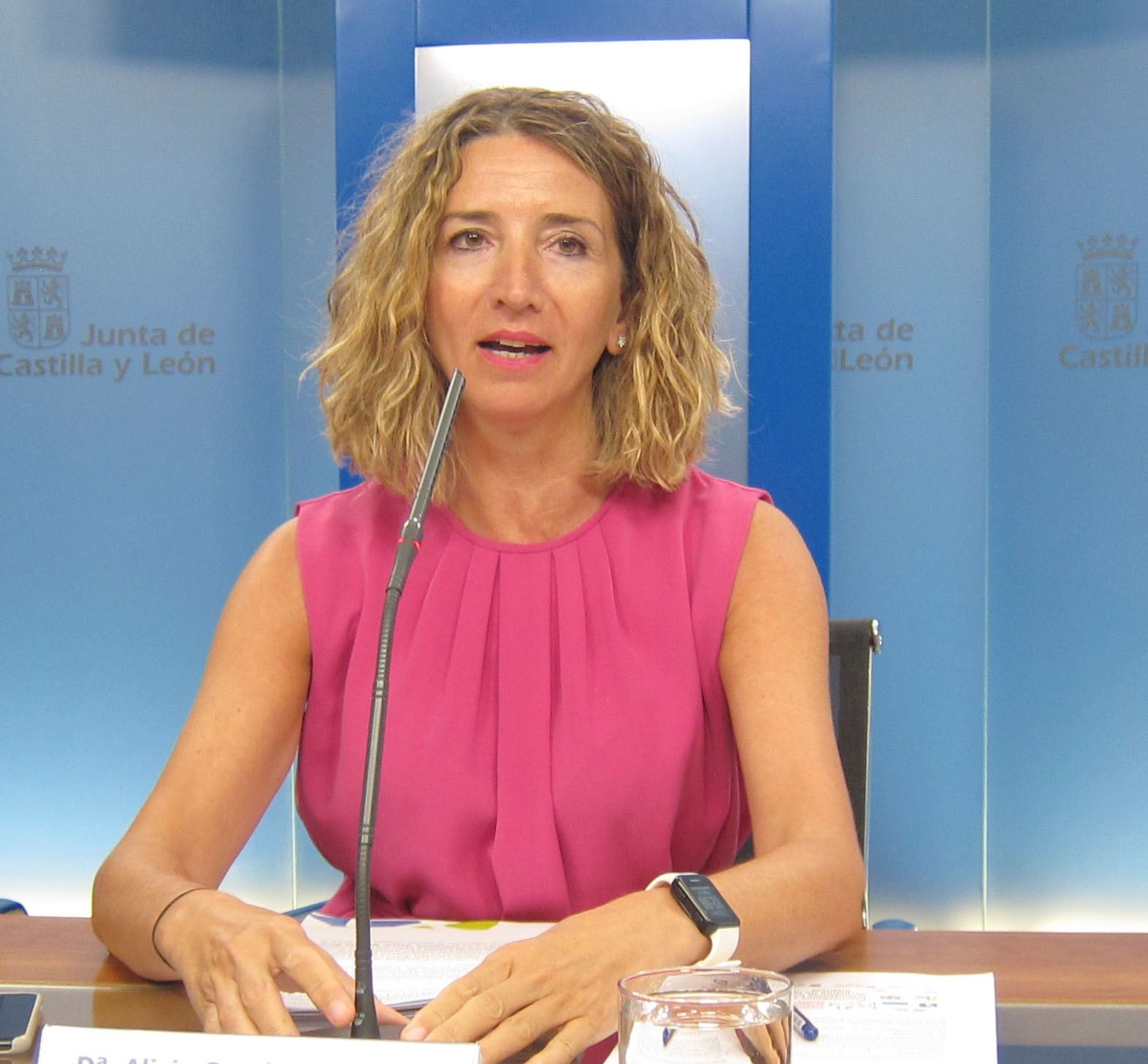 La consejera de Familia e Igualdad de Oportunidades de la Junta de Castilla y León, Alicia García.