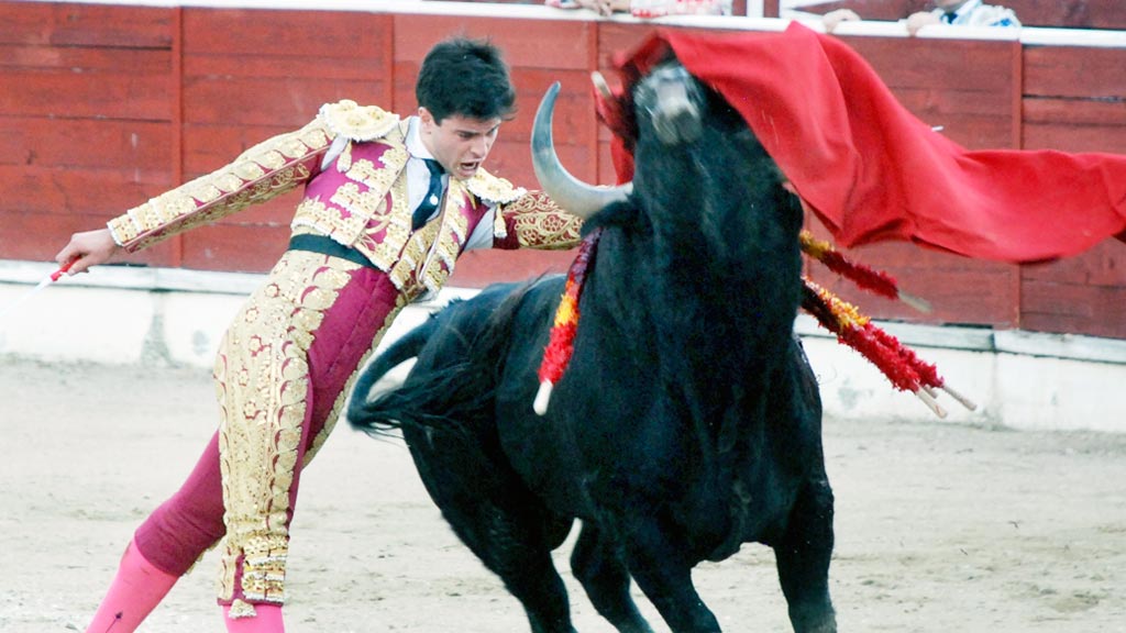 ‘Toñete’, en plena faena en la plaza de toros de El Espinar. / el adelantado