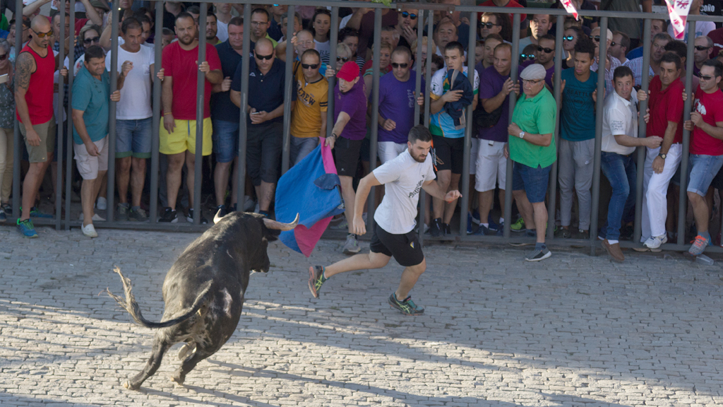 12_1_fiestas-nereallorenet