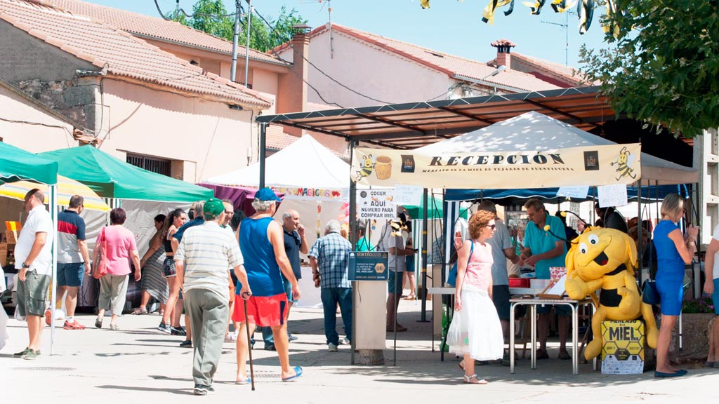 Treinta artesanos conforman el tradicional Mercado de la Miel de Tejares 1 12-1-tejares-de-fuentidueña-mercado-de-la-miel