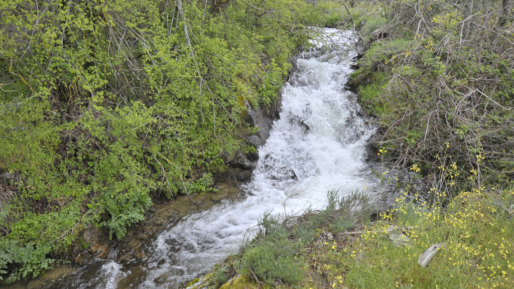 La Noble Junta reclama sus derechos en el Cambrones. / kamarero