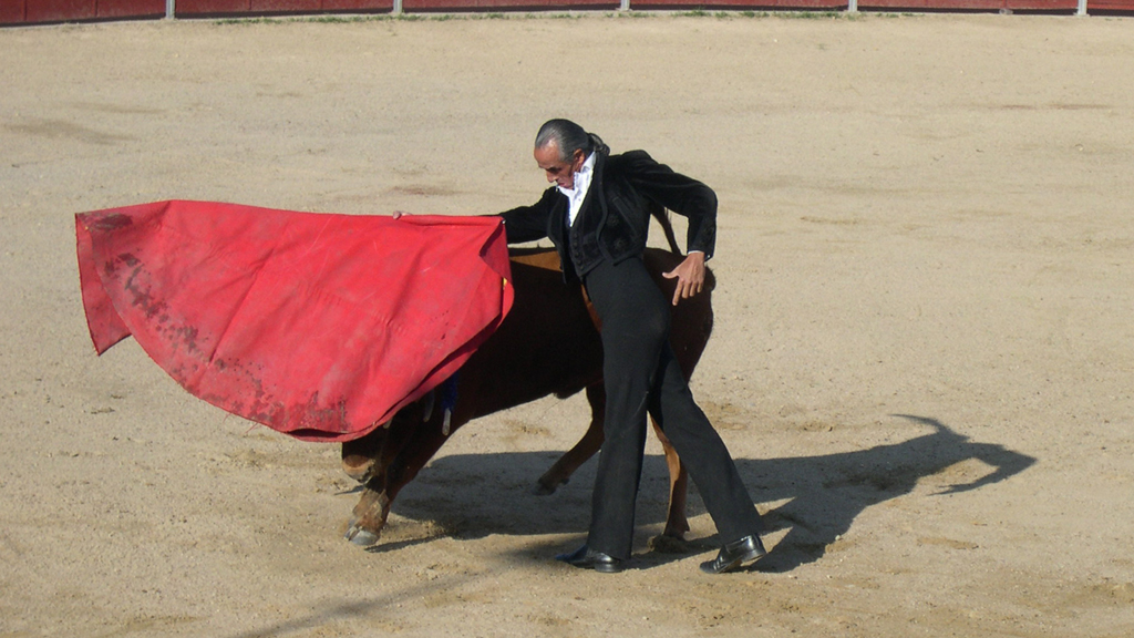 15_1-villacastin-toros