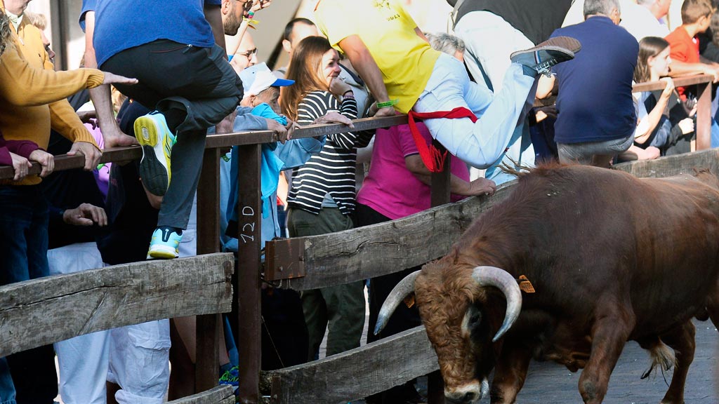 Segundo encierro multitudinario en Sepúlveda 1 15-2PHOTONOTICIAS-Sepúlveda-Encierro