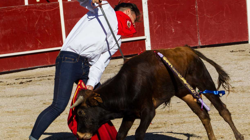Una de las imágenes difundida, de San Rafael. / el adelantado