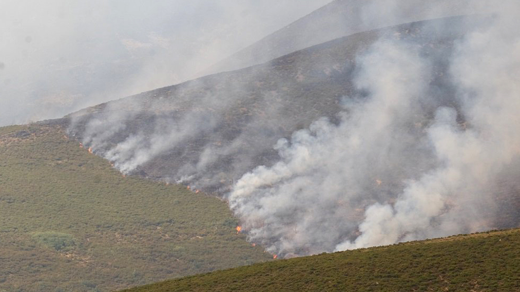 Estos días hay máximo riesgo de que se produzcan incendios en terrenos forestal. / el adelantado
