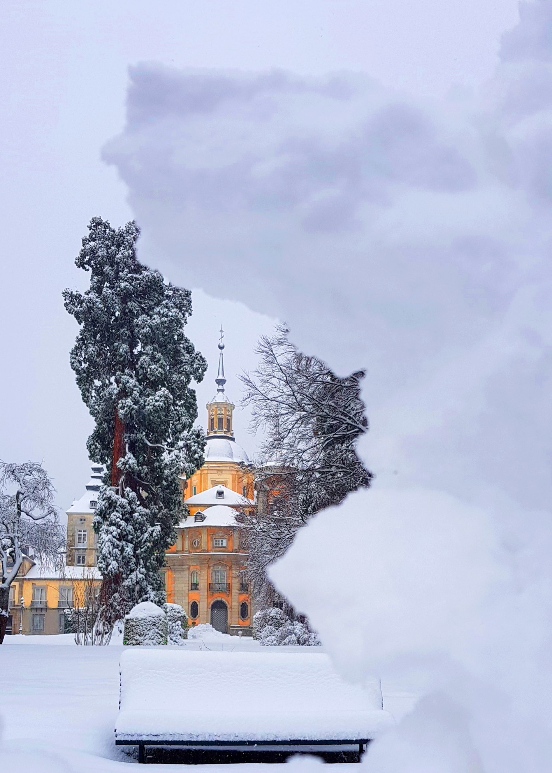 La fotografía ‘Entre algodones’ es el cartel de San Luis 2018.