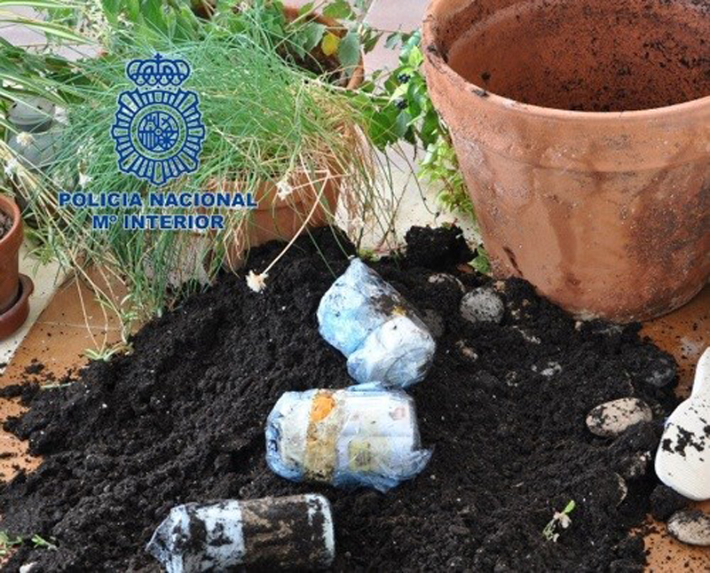 Maceta en la que se ocultaba parte del dinero sustraído, un total de 67.000 euros.