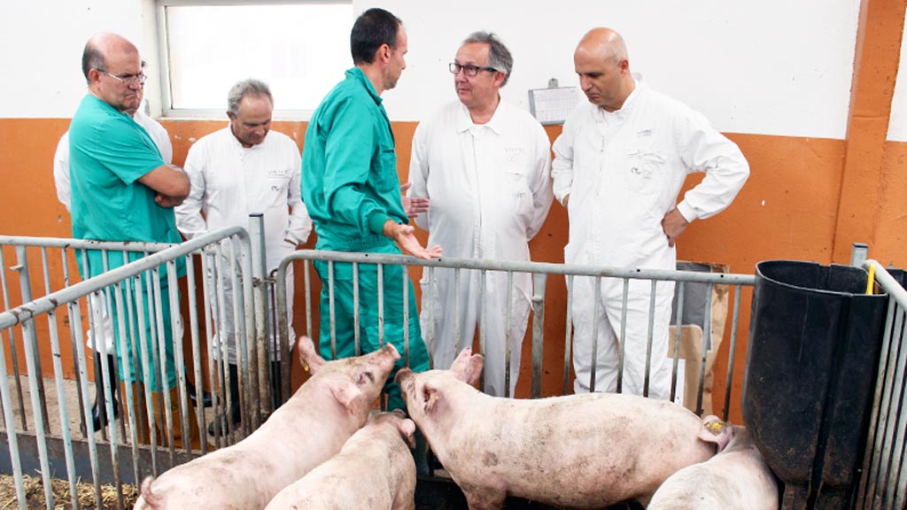 Inversión de 234.000 euros en el Centro de Porcino de Hontalbilla 1 05-1-Hontalbilla-centro-pruebas-porcino