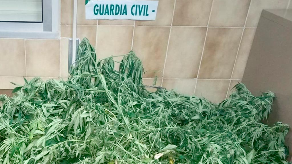 08-3-guardia-civil-detencion-drogas