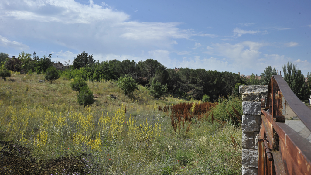 10_1-parcela-san-lorenzo