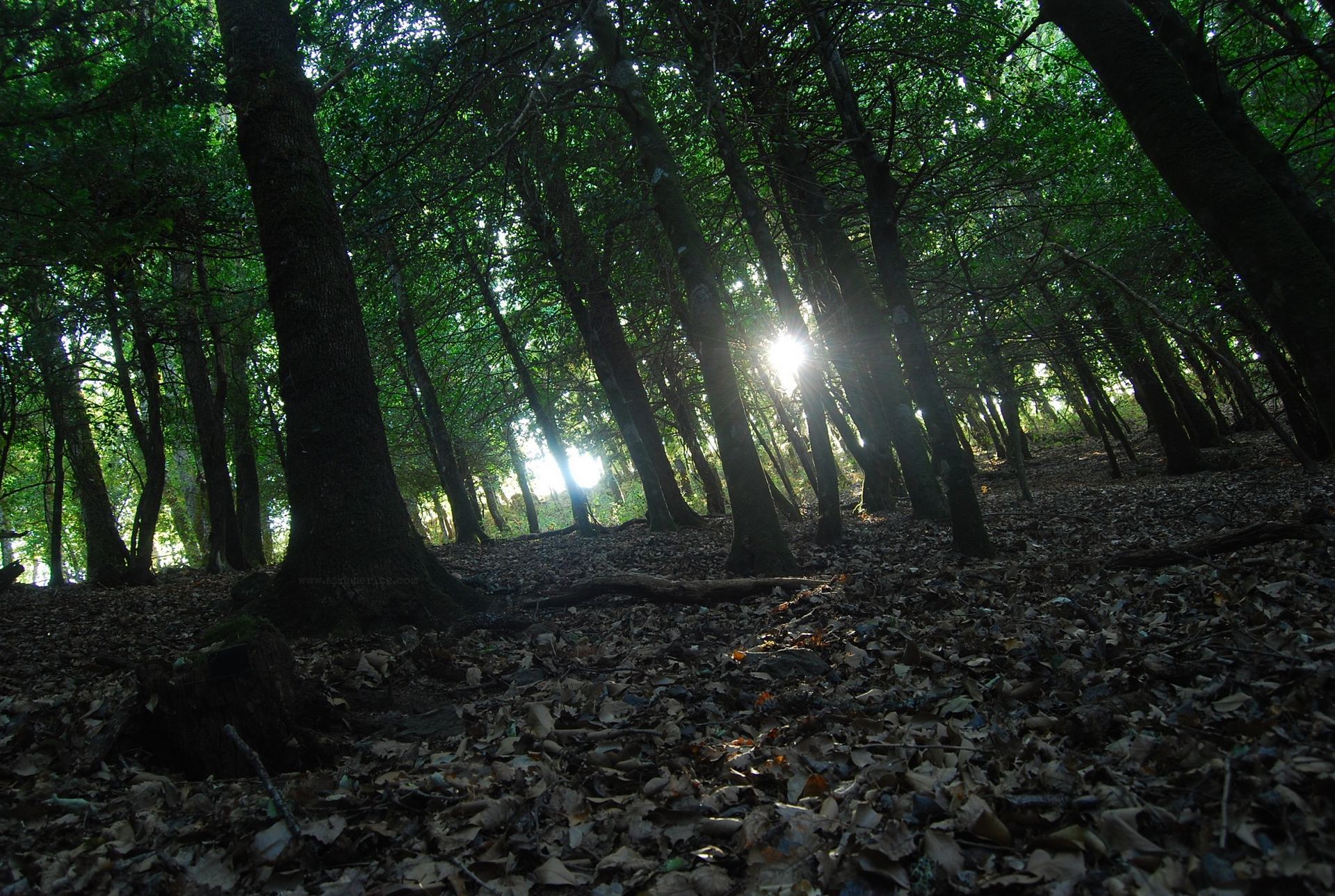 La Consejería insiste en la recomendación de extremar la prudencia en las actividades de trabajo y ocio al aire libre. / E. p.