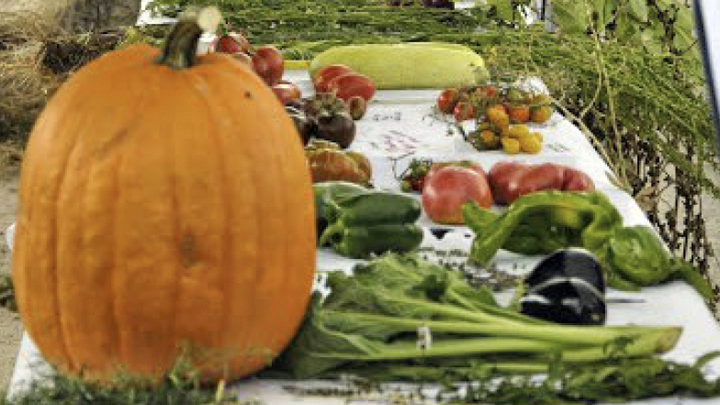 Productos tradicionales de la provincia, en una de las muestras de la Red. / el adelantado