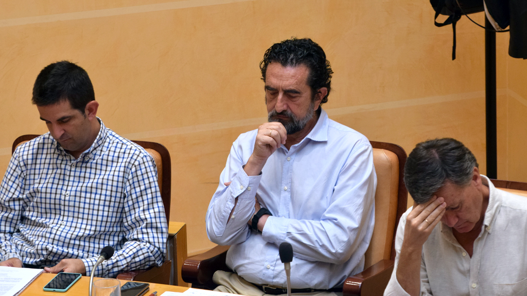 6_1_pleno-Rociopardos