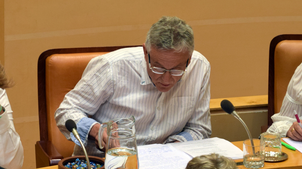 7_1_pleno-Rociopardos