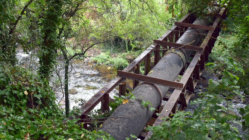 8_1_arbol-RocioPardos