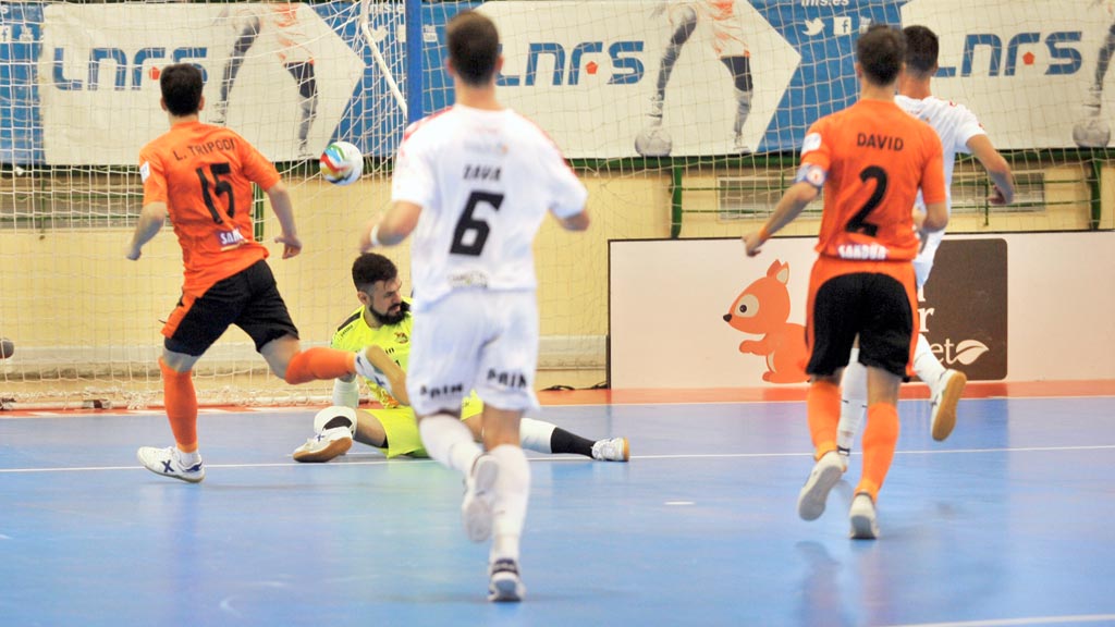 d1-1kama_FS-Naturpellet-Segovia-Ribera-Navarra_KAM4971