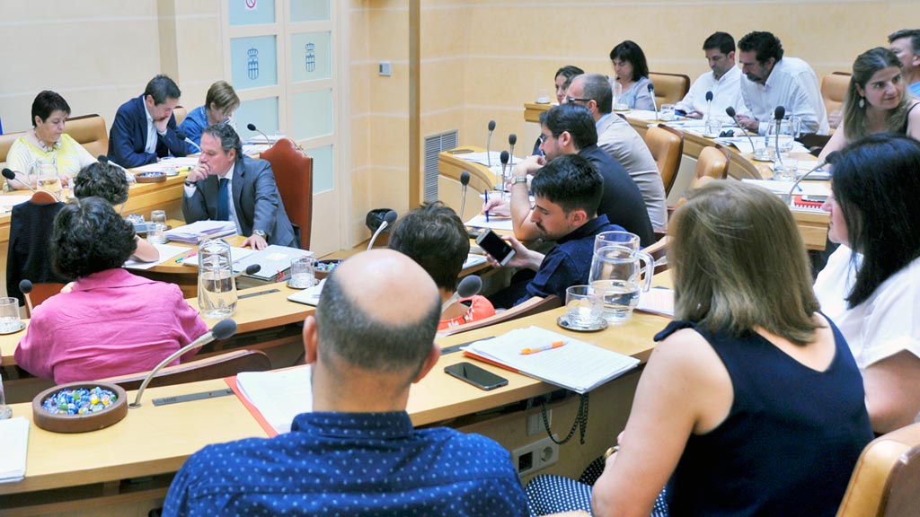 07-1kama_Ayuntamiento-Pleno_KAM1520