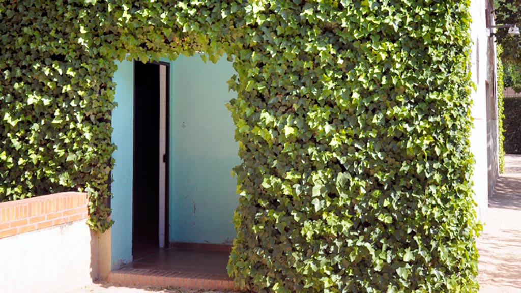 08-1kama_Aseos-Publicos-Jardin-Botanico_KAM5536